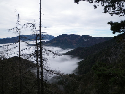 berge klein 37